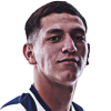 Cristian Luduenia