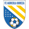 Agricola Borcea