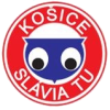 Σλάβια Κόζιτσε