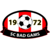 SC Bad Gams