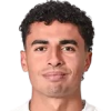 Yanis Lelin