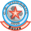Viitorul Buzau