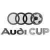 Pokal Audi