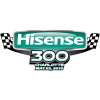 Hisense 300