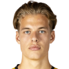 Joel van der Wilt