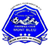 Mont Bleu