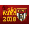 Копа Сао Пауло - Младежи