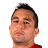 Fernando Meneses