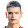 ヴィクトル Dimitrov