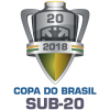 Купа на Бразилия П20