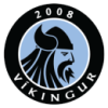 Vikingur 3