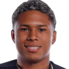 Fabian Alexis Suarez Chalare