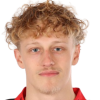 Dominic Lanz