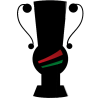 Piala Hungaria