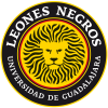 Leones Negros