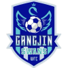 Gangjin Swans W