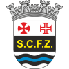 Ferreira do Zezere