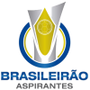 Brasileiro B23