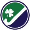 Ирландская лига