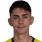 Araya Tobar