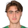 Raul Begishvili