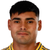 Walter Ariel Molas