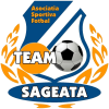 Team Sageata