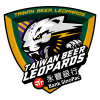 Taiwan Beer Leopards