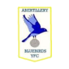 Abertillery Bluebirds