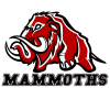 Přerov Mammoths