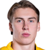 Verner Valojarvi