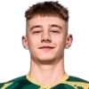 Vladislav Kulesh