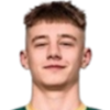 Vladislav Kulesh