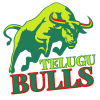 Telugu Bulls