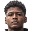 Yuri Oyarzo