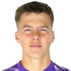 Dominik Kerl