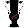 Ungarnsk Cup