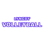Lyngby Volley