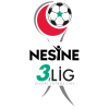 Nesine 3. Lig 3. Grup