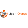 Liga 1