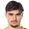 Nikola Mitrovic