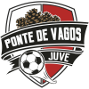Ponte de Vagos W