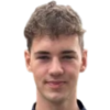 Faris Dzevahiric