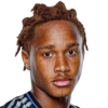 Bi Bryan Zamble