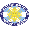 Solne Miasto Wieliczka