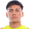 Vicente Villegas