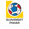 Piala Slovakia