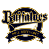 Orix Buffaloes 2