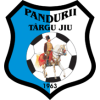 Pandurii II