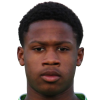 Rynino Rimon